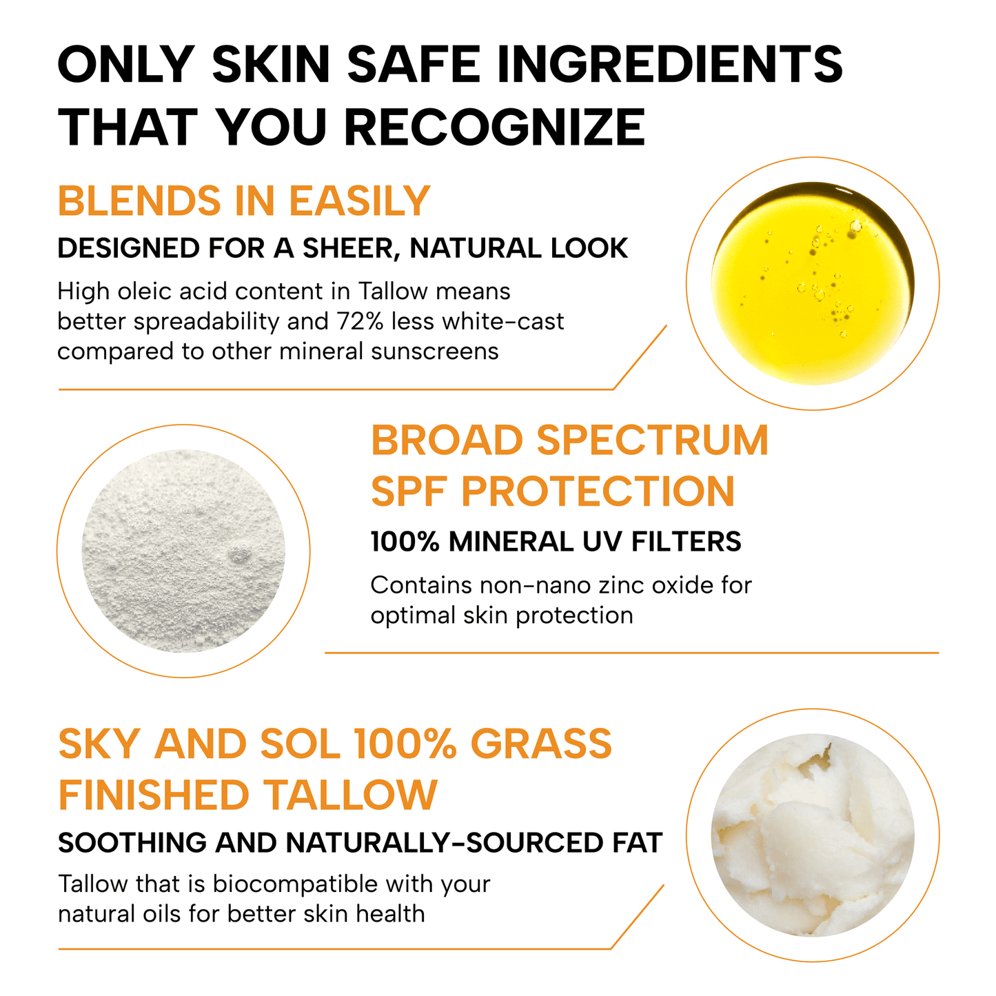 Mineral Sunscreen SPF 50 | With Grass-Fed Tallow & Zinc Oxide | Non-Greasy Formula for Face & Body | Made Without Reef-Harming UV Filters | 3 oz (85 g)
